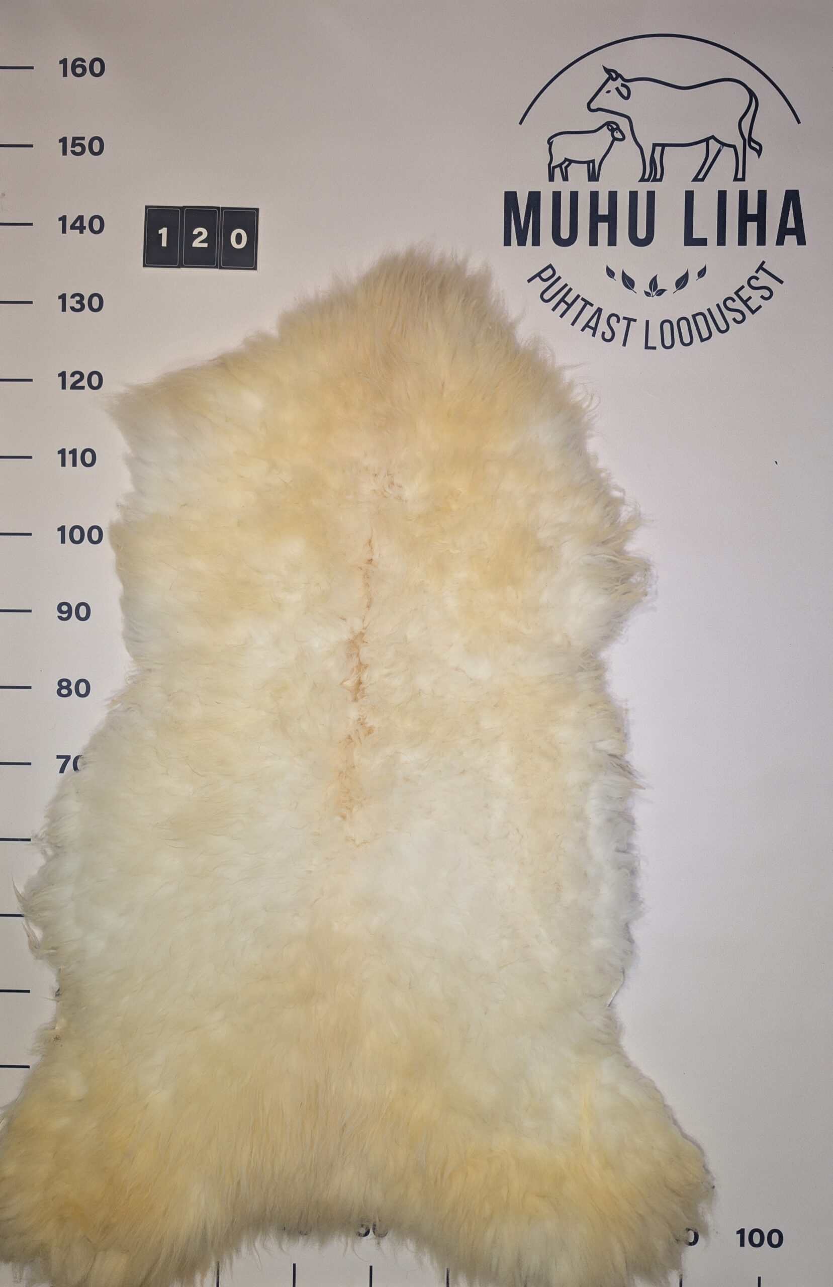 Lambanahk 120