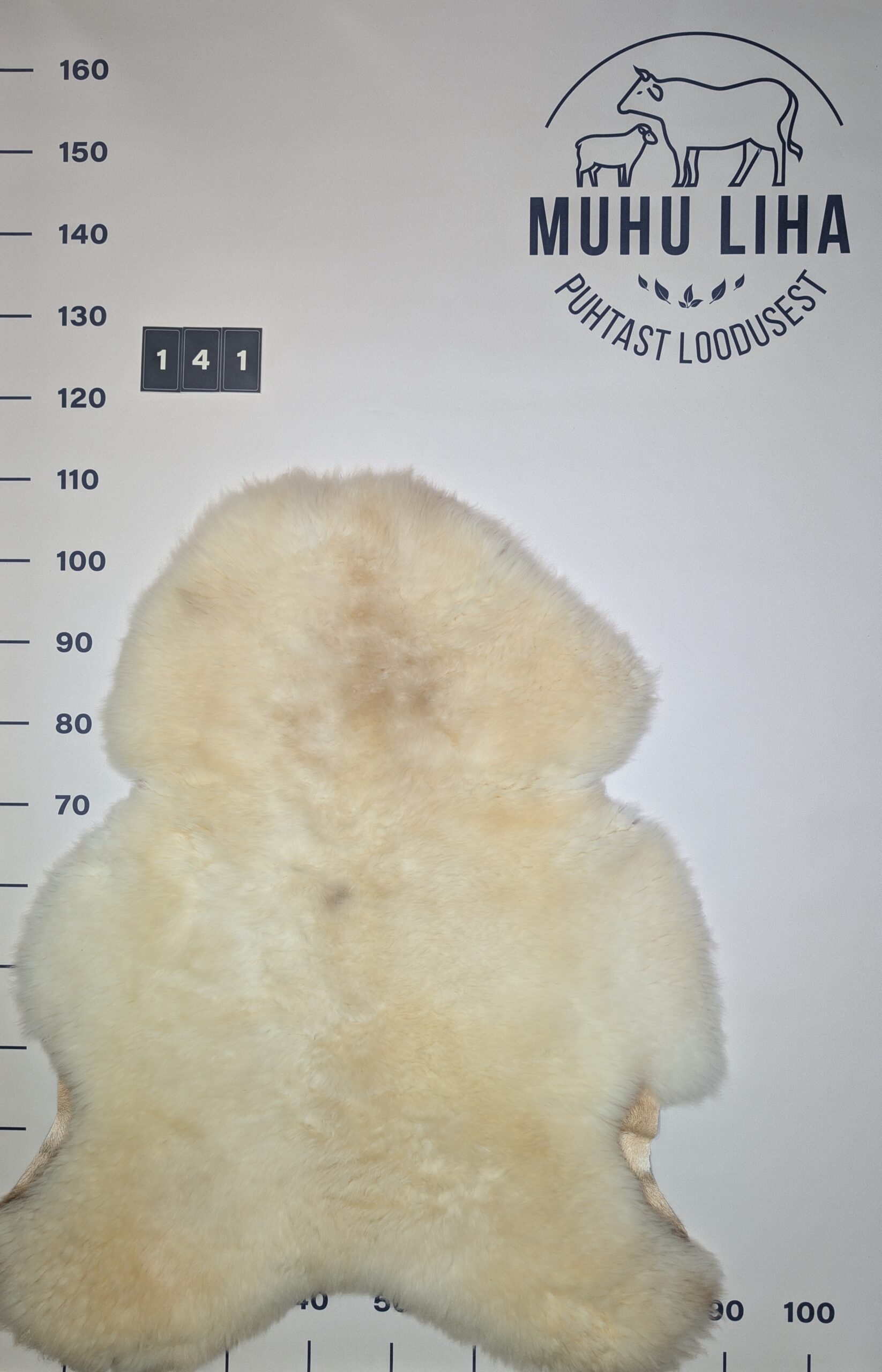 Lambanahk 141
