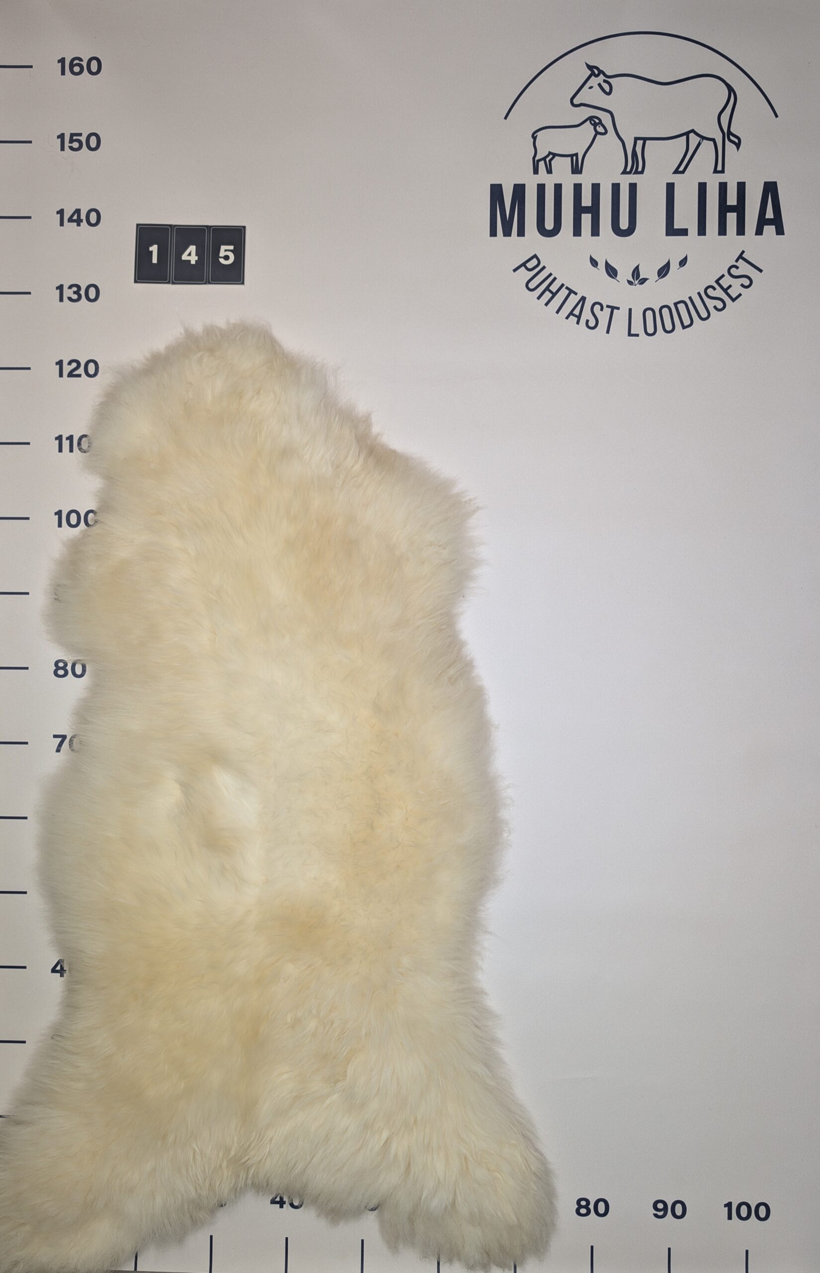 Lambanahk 145