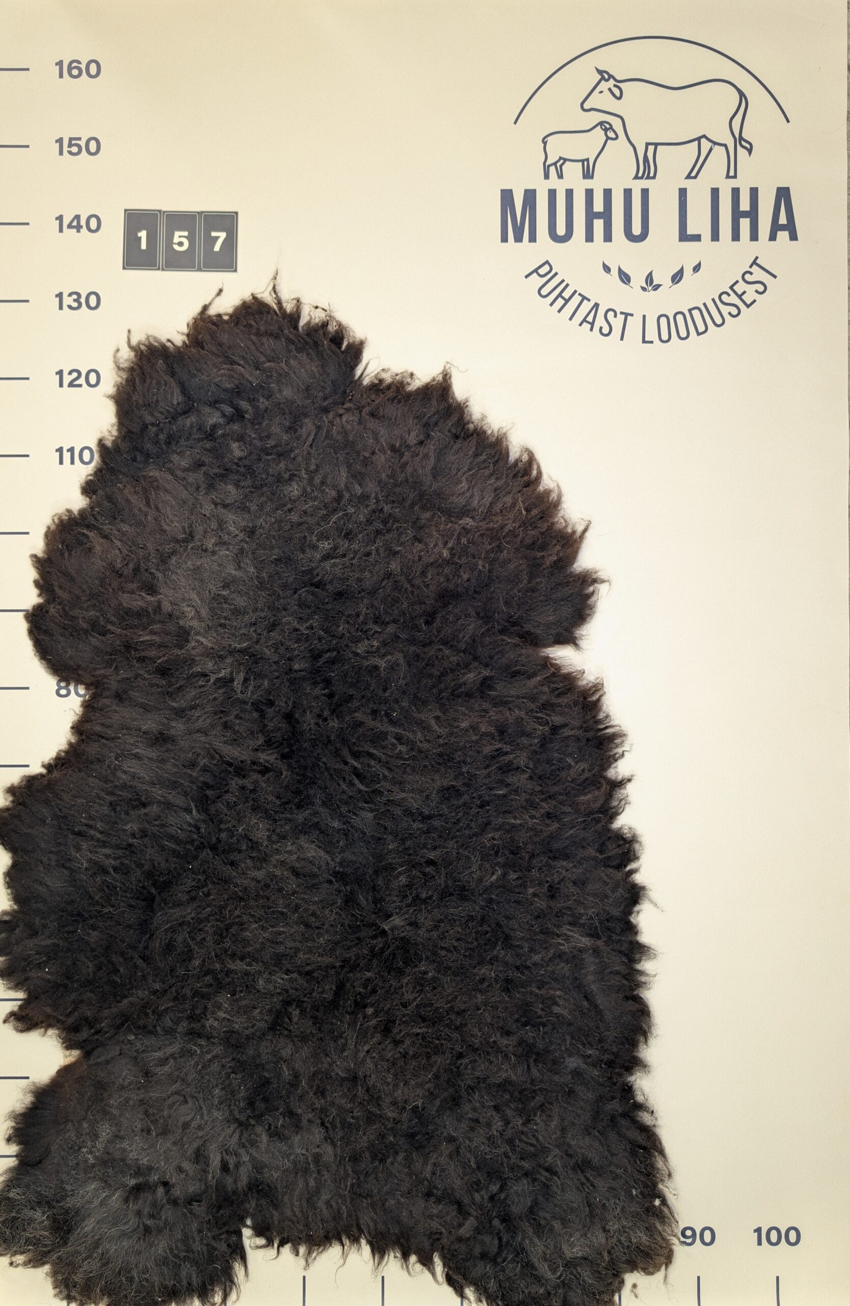 Lambanahk 157
