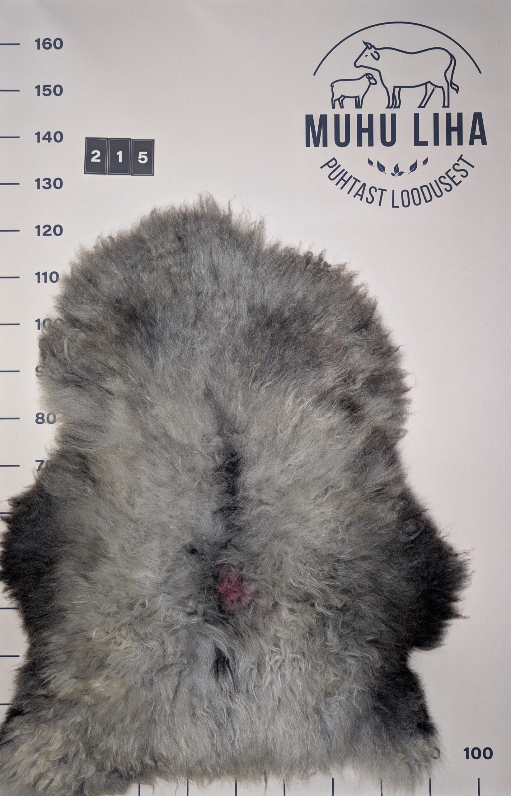 Lambanahk 215
