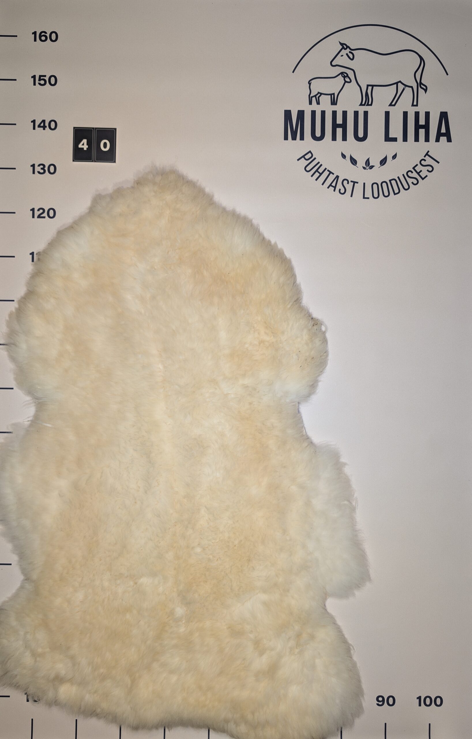 Lambanahk 40